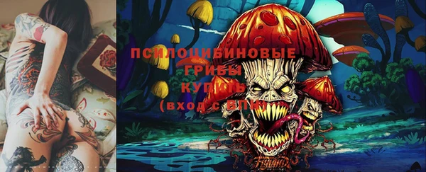 спиды Алзамай